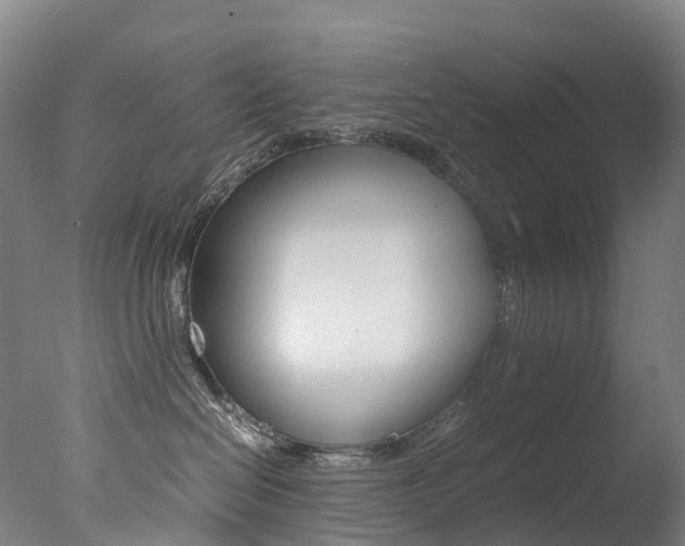 X0000078000286200610271021