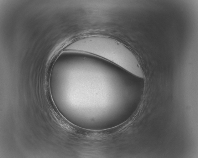 X0000078000293200610271020