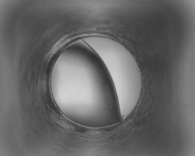 X0000078000295200610271020