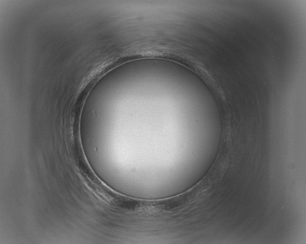 X0000078000299200610271020
