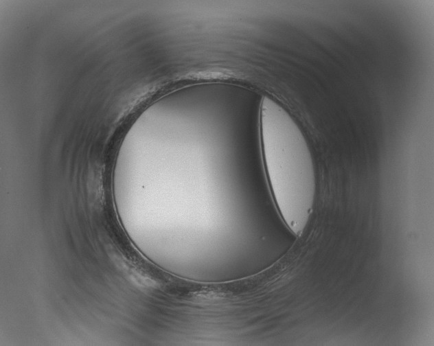 X0000078000300200610271020