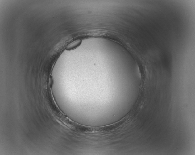 X0000078000303200610271020
