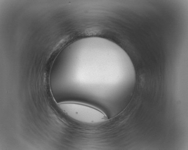 X0000078000308200610271019