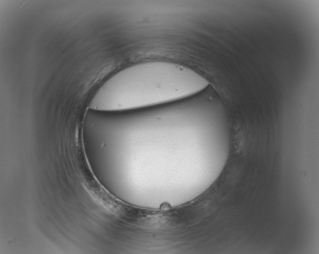 X0000078000310200610271019