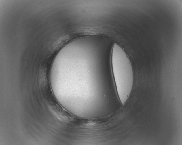 X0000078000312200610271019