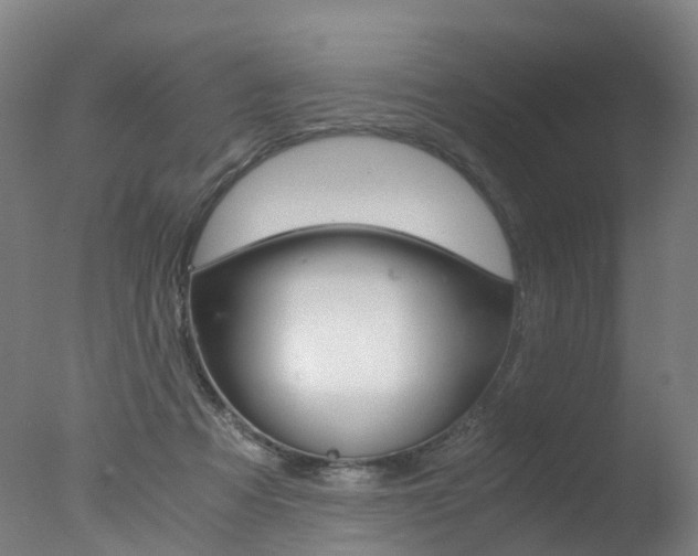 X0000078000313200610271019