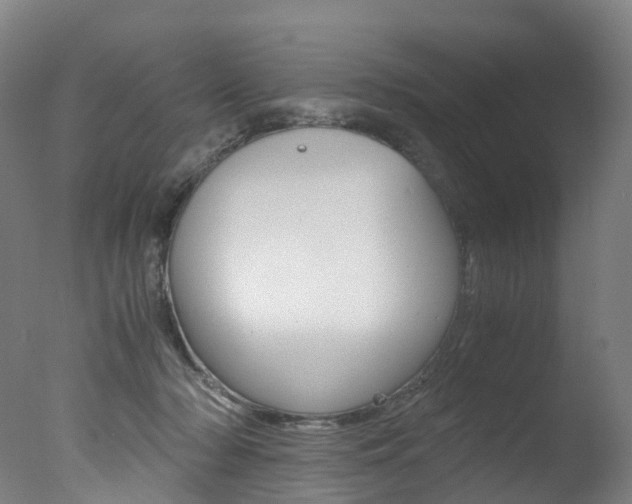 X0000078000318200610271019