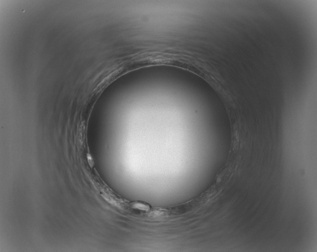 X0000078000325200610271019