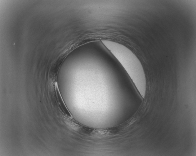 X0000078000329200610271019