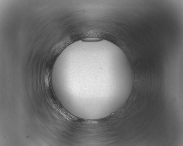 X0000078000334200610271019