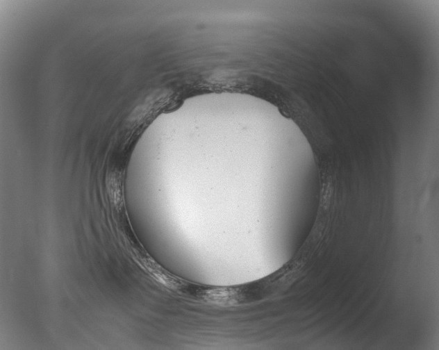 X0000078000335200610271019