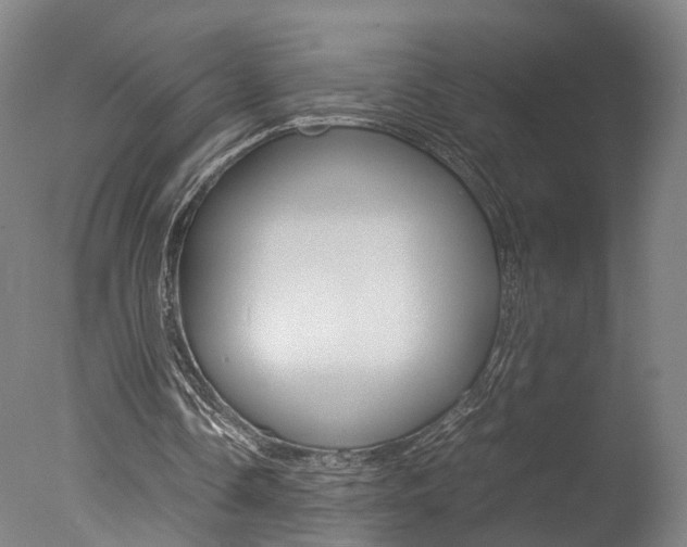 X0000078000338200610271018