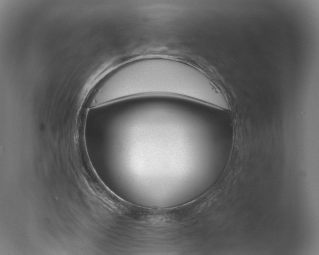 X0000078000344200610271018