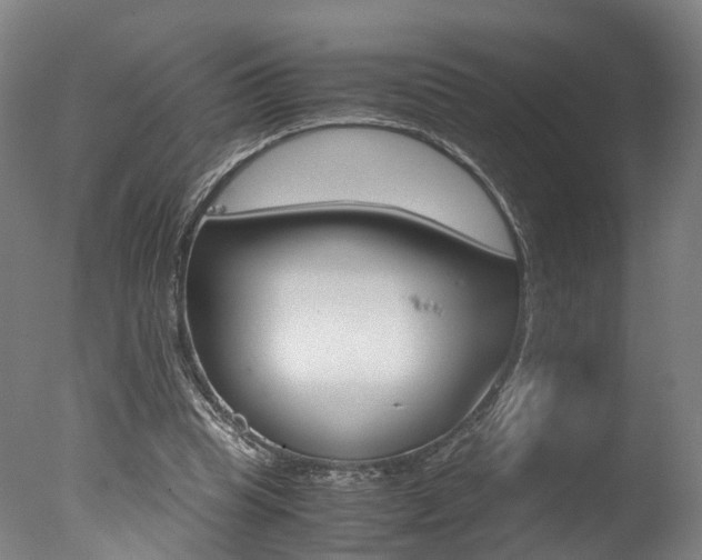 X0000078000345200610271018