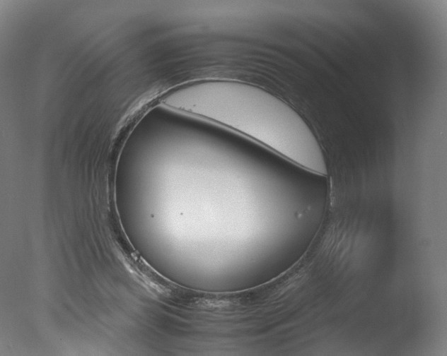 X0000078000349200610271018