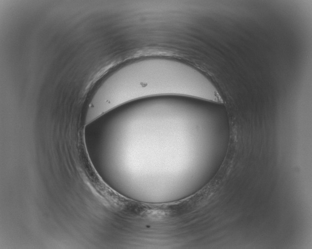 X0000078000352200610271018