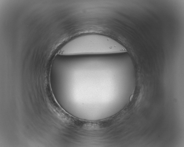 X0000078000354200610271018