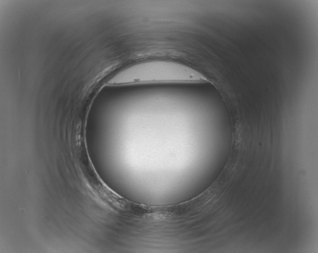 X0000078000356200610271019