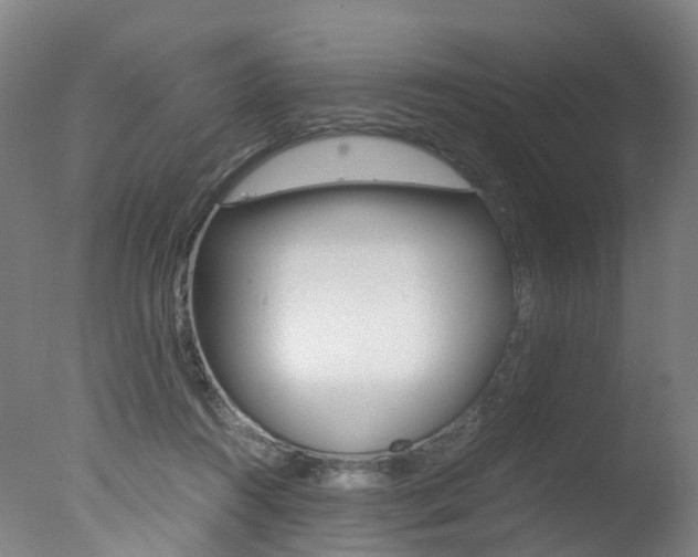 X0000078000360200610271019