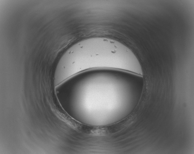 X0000078000362200610271019
