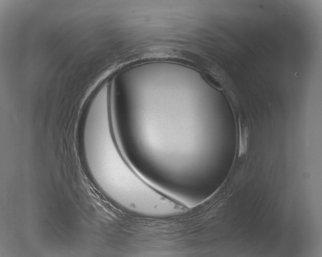 X0000078000387200610271018