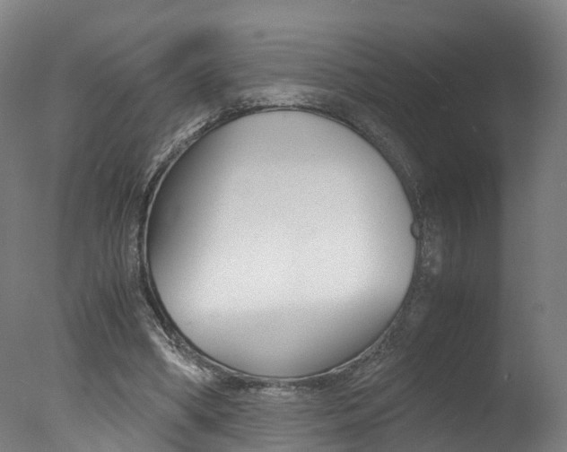 X0000078000394200610271018