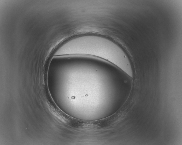 X0000078000399200610271018