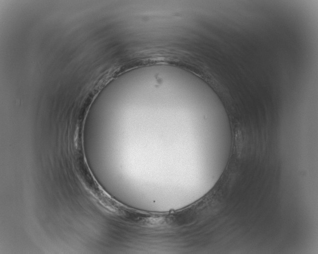 X0000078000406200610271018