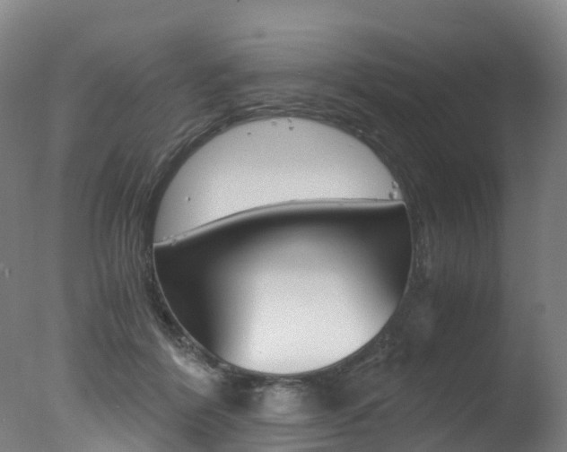 X0000078000412200610271018