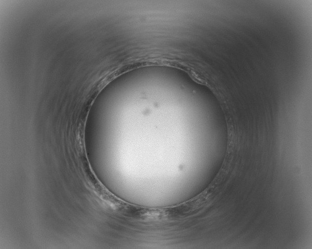 X0000078000415200610271018
