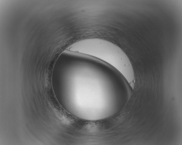 X0000078000416200610271018