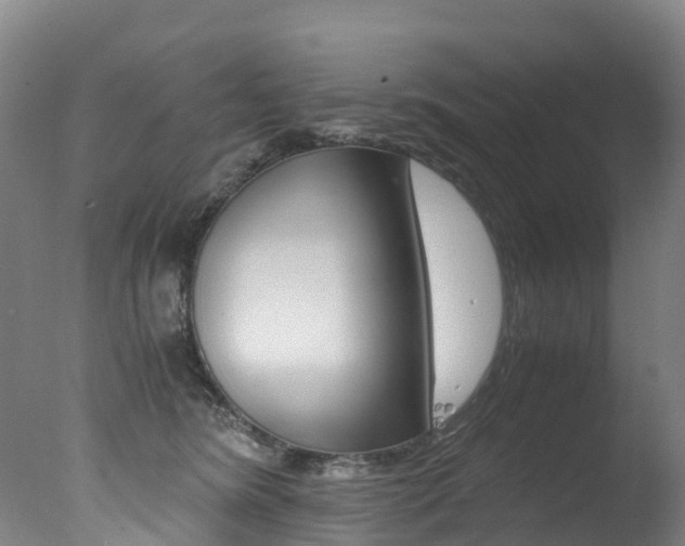 X0000078000420200610271018