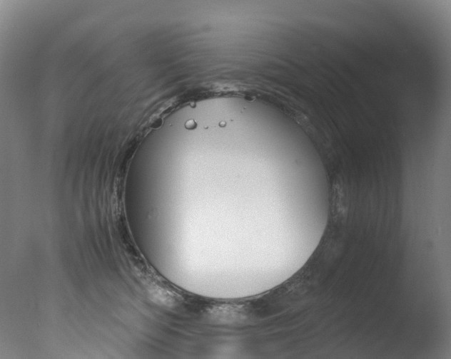 X0000078000422200610271018