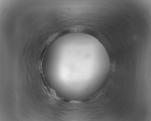 X0000078000429200610271017
