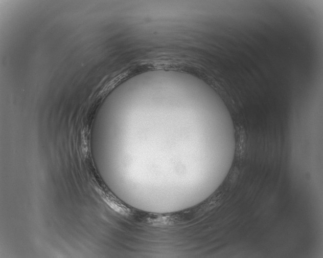 X0000078000430200610271017