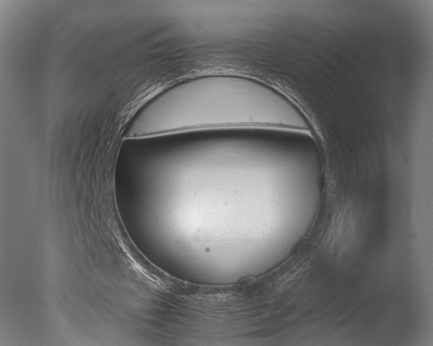 X0000078000433200610271017