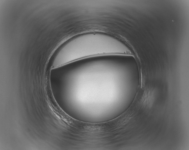X0000078000435200610271017