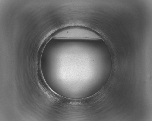 X0000078000440200610271017