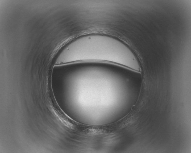 X0000078000442200610271017