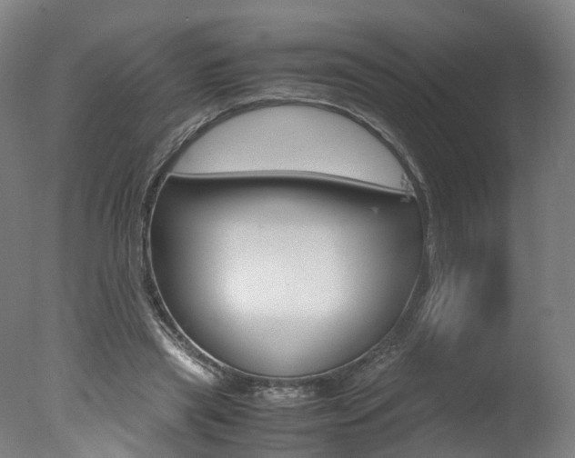X0000078000445200610271017