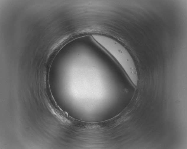 X0000078000446200610271017