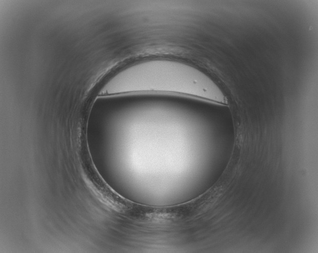 X0000078000448200610271017