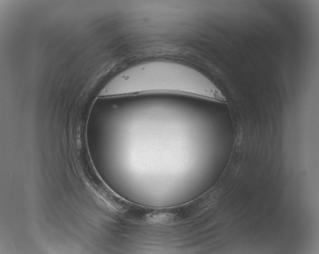 X0000078000452200610271017