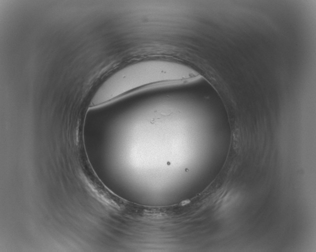 X0000078000454200610271017