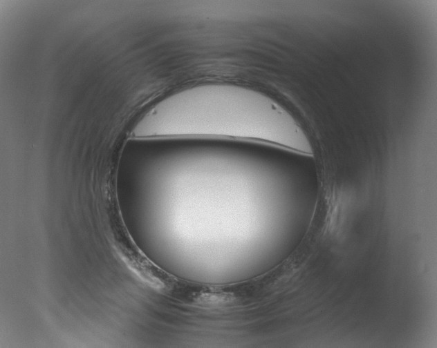 X0000078000455200610271017