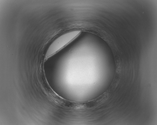 X0000078000456200610271017
