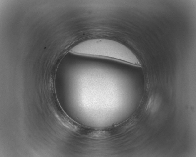 X0000078000459200610271017