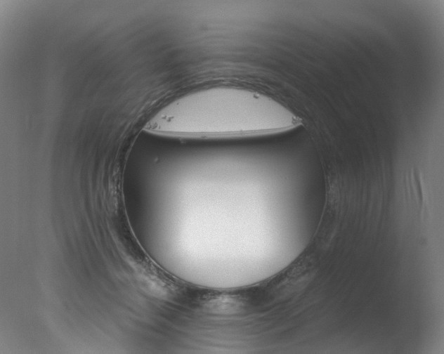 X0000078000460200610271017