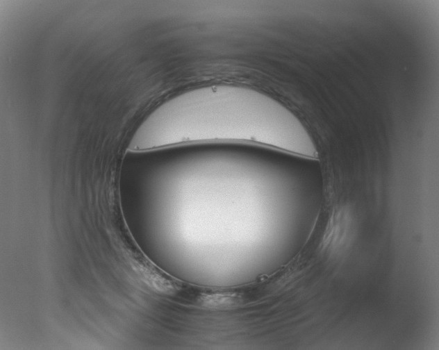 X0000078000461200610271017