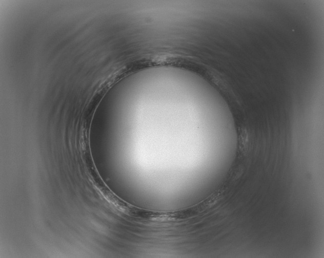X0000078000470200610271017